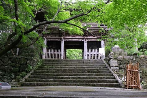  Chikurin-ji Temple: En mystisk bambusskog i Chiang Mai