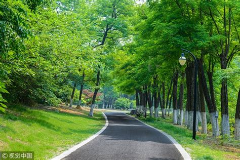 Dalian Forest Park – Ett äventyr i grönska med hänförande utsikter!