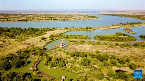 Dongyi City's Yellow River Delta National Nature Reserve! A Feast for Birdwatchers and Nature Lovers!