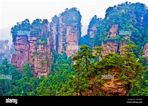  Huangshizhai - Mystisk Klippeborg med Utsikt Över Zhangjiajie