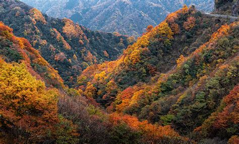  Sichuan Shanshuiyuan Scenic Area: Enchanting Landscapes and Majestic Peaks