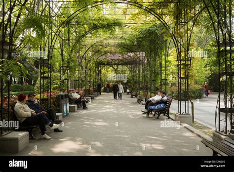  Solitude's Embrace: Fuxing Park, A Mountain Oasis for Peaceful Reflection!