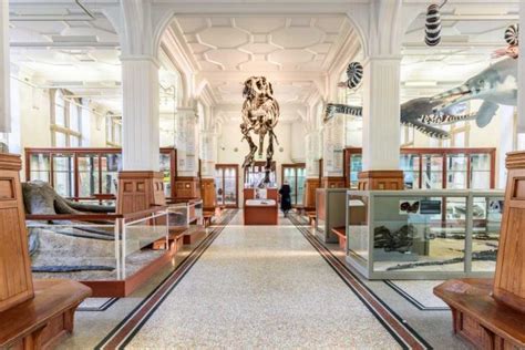 The University of Manchester Museum: A Journey Through Time and the Natural World!